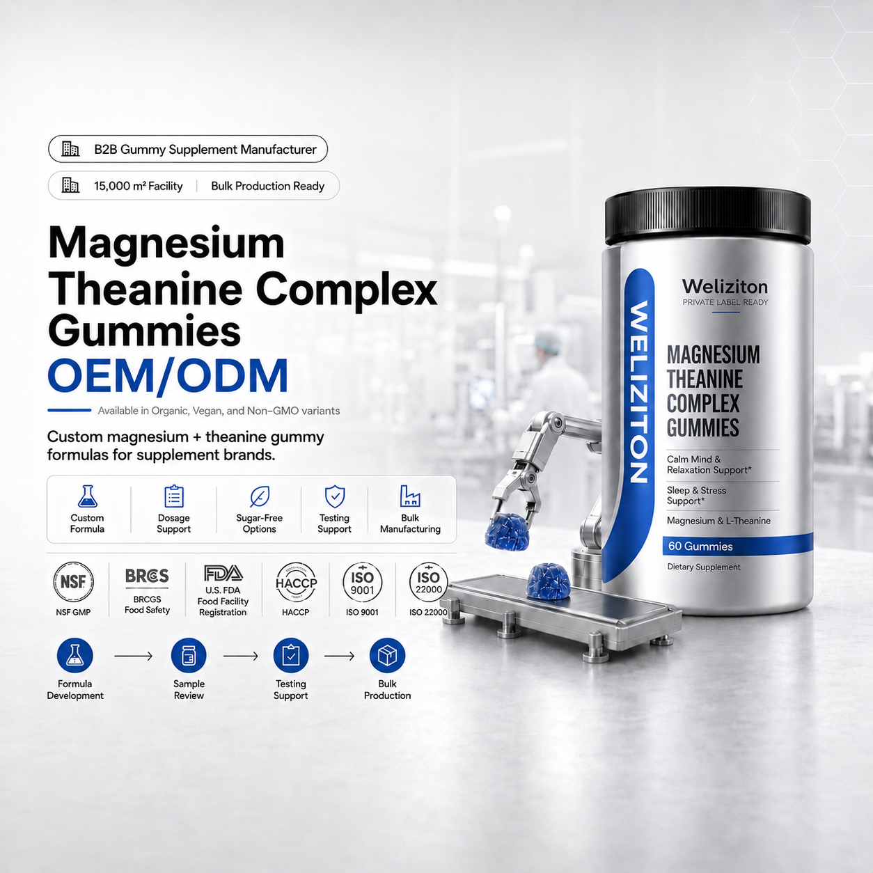 Magnesium Theanine Complex Gummies